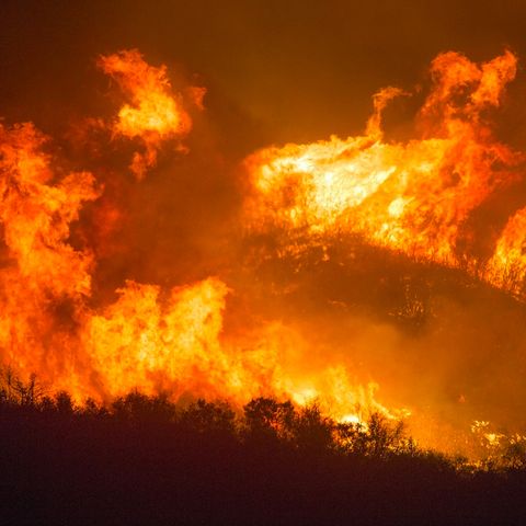 Mentre guardiamo all'Ucraina, l'Amazzonia è di nuovo in fiamme