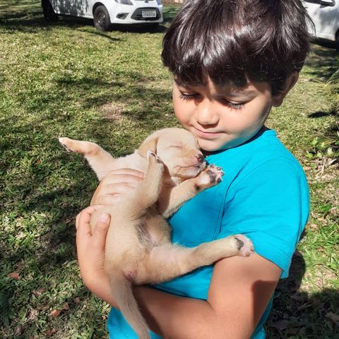 En el Tiempo del Niño - Primeiro Programa