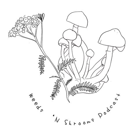 Weeds 'N Shrooms Podcast Episode 3 - 1:26:19, 1.39 PM