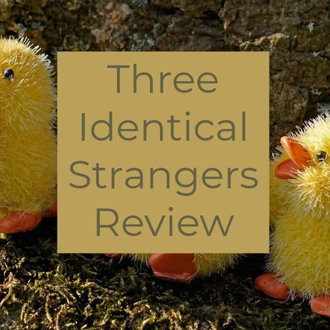 Three Identical Strangers Review