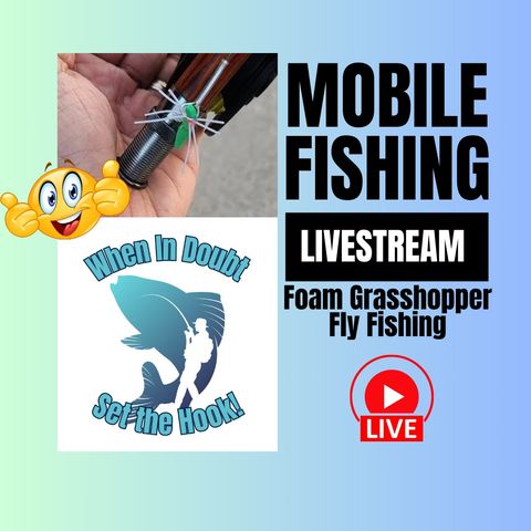 Pond Fly Fishing  - Foam Grasshopper - Mobile Fishing Livestream 29 (Audio Podcast)