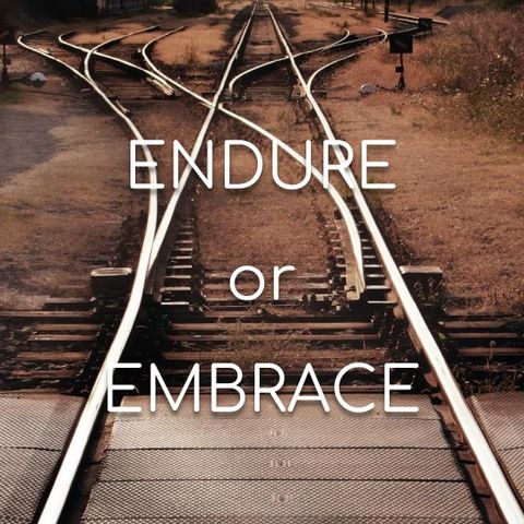 Endure or Embrace - Morning Manna 2843