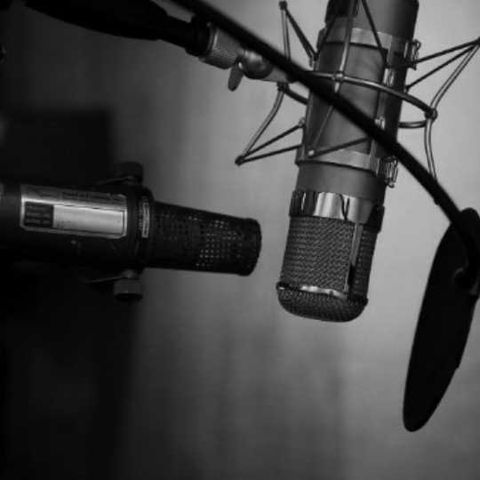 synapses