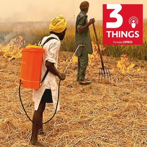 Punjab fields on fire, lowering food prices, and Covid impact on schools