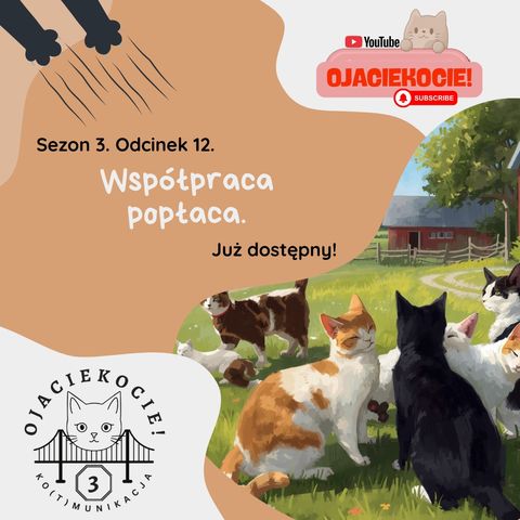 S3E12 - Współpraca popłaca.
