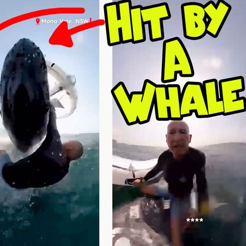 I was hit by a Whale!!! - Live interview with the man himself - Jason Breen