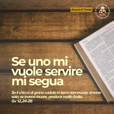 3 novembre - XXXI Domenica TO - San Giusto - Se uno mi vuole servire mi segua