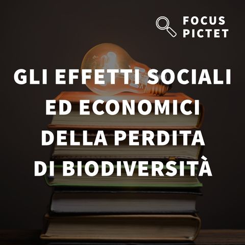 Gli effetti sociali ed economici della perdita di biodiversità