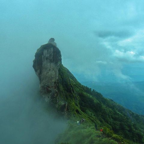 മഴയൊന്ന് ശമിക്കട്ടെ, യാത്ര പിന്നീടാകാം; സംസ്ഥാനത്തെ വിനോദസഞ്ചാര കേന്ദ്രങ്ങള്‍ അടച്ചു | monsoon tourism