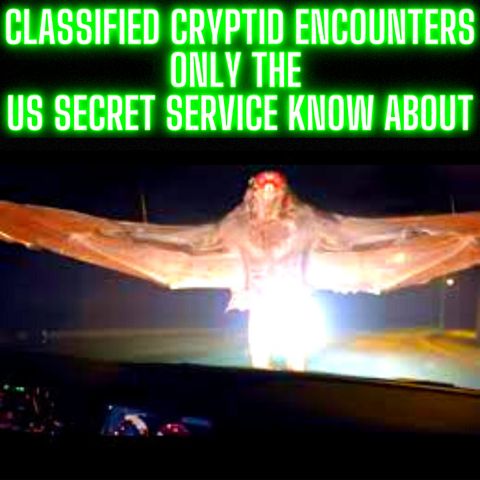 3 HOURS of CLASSIFIED CRYPTID ENCOUNTERS ONLY THE US SECRET SERVICE and PRESIDENT KNOW ABOUT
