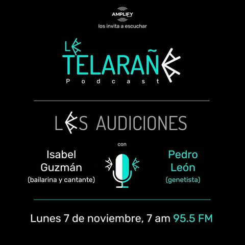 Las audiciones