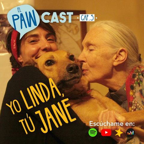 Yo Linda, tú Jane