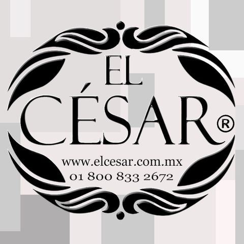 Decomuro El Cesar En Los Oscar