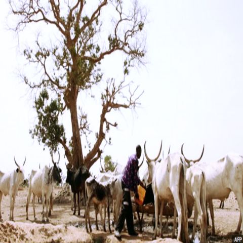 We Need To Stop Herdsmen From Roaming Around —Garba Shehu
