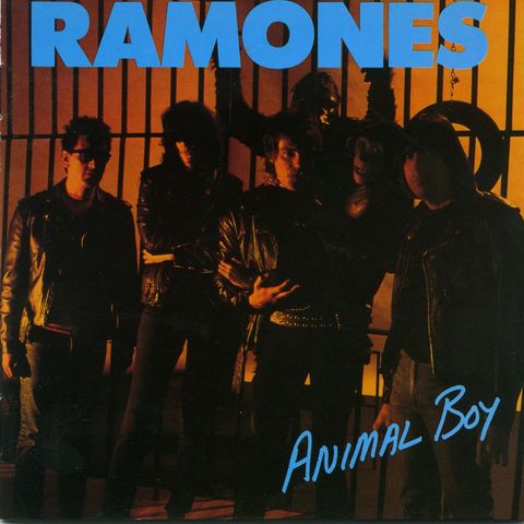 GringoCália#16 - Ramones: Animal Boy!