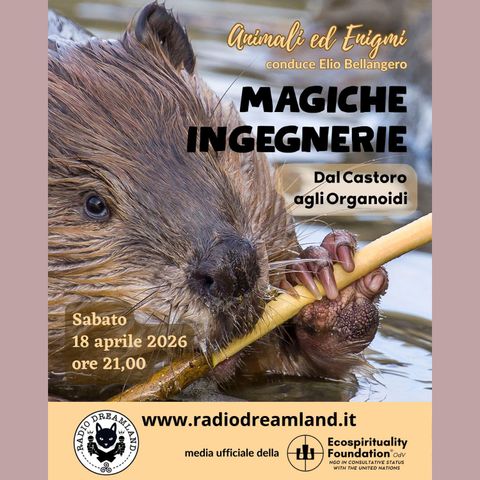 Magiche Ingegnerie
