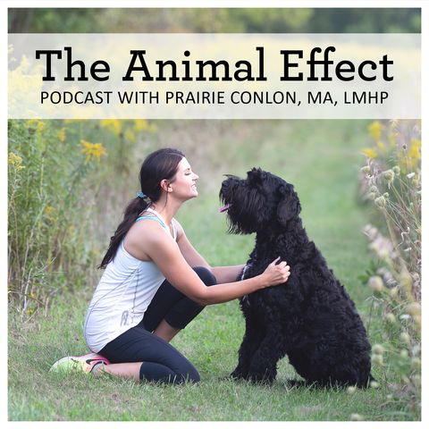 The Animal Effect - Introducing Prairie Conlon