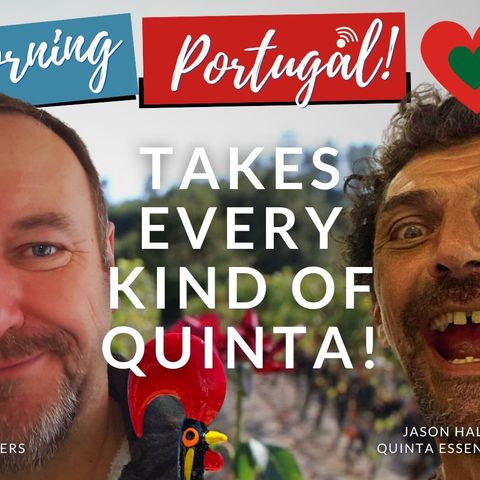 All Quintas Great and Small - Quinta Crew Tuesday on Good Morning Portugal!