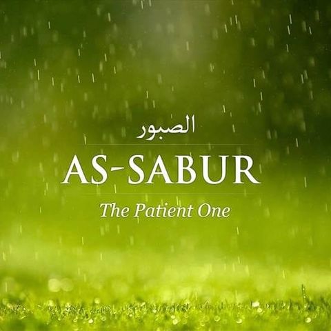 Allah is As-Sabur: He does not hasten the punishment