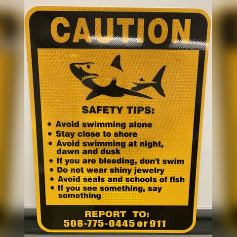 With Shark Sightings On Rise, Yarmouth Warns Swimmers With Signs