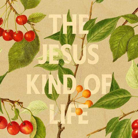 The Jesus Kind Of Life | Matthew 5:13-20