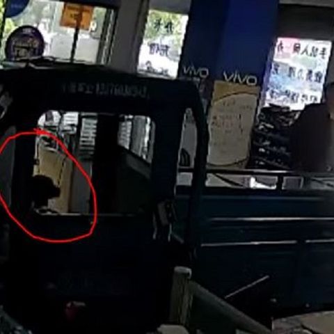Moron Monday: Owners Dog Drives His Truck Through Cell Phone Store