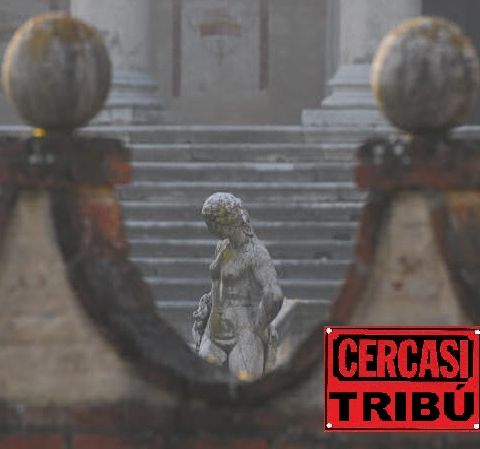 CERCASI TRIBÙ - n. 1