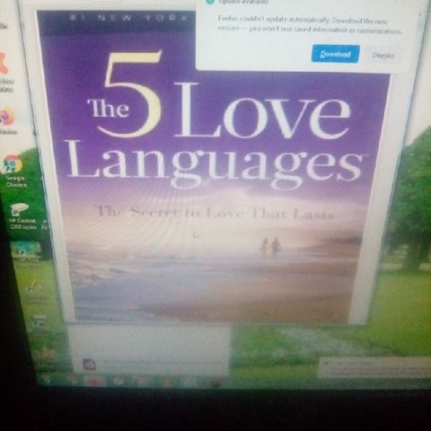 The 5 Love Languages- GARY CHAPMAN chapter One.