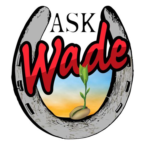 Ask Wade 4-26-21