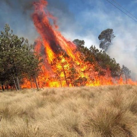 CDMX presenta incremento en incendios forestales