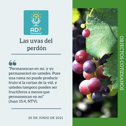 20 de junio - Las uvas del perdón - Devocional de Jóvenes - Etiquetas Para Reflexionar