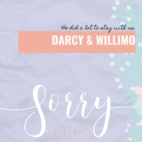 Darcy & WilliMo - He did a lot to stay with us.