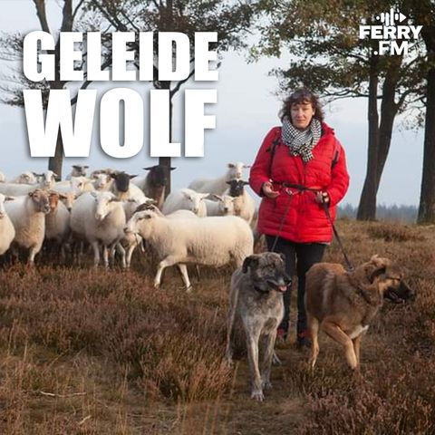 Interview: Diergedragsdeskundige Yvette van Veldhuizen