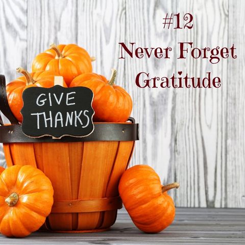 The 12 No-no's of Thanksgiving Part 12   Never Forget Gratitude