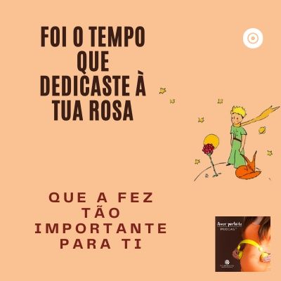 Episódio 8- "Foi o tempo que dedicaste à tua rosa, que a fez tão importante para ti"