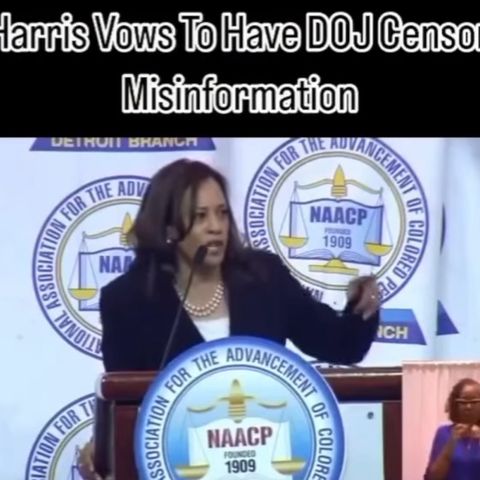 Kamala Harris (Thought Police 2024)