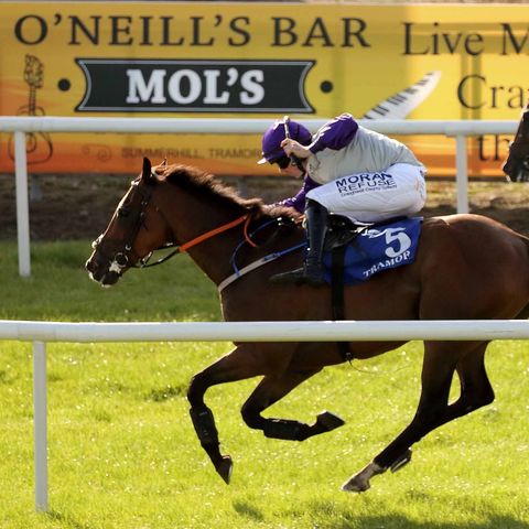 Hot Desk: Noel O'Neill of O'Neill's Bar Tramore tells The Hot Desk how business will suffer this weekend without punters at the races