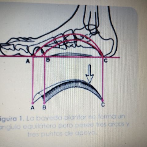 Bóveda plantar