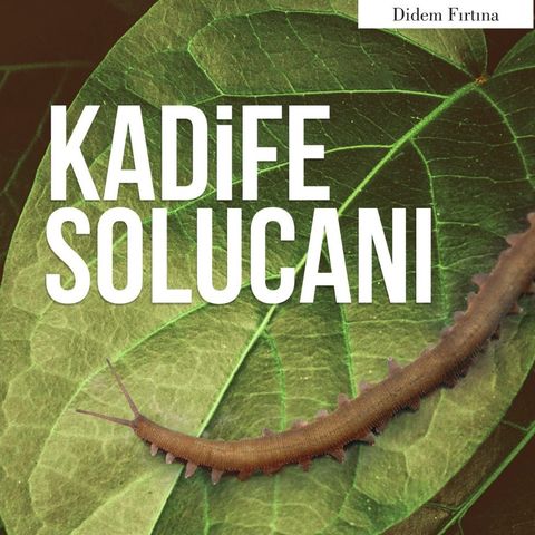 Kadife Solucanı