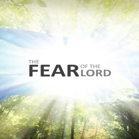 The Fear of the Lord - Morning Manna #2815