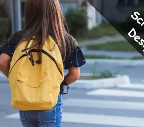 5 Trending School Bag Designs to Know About