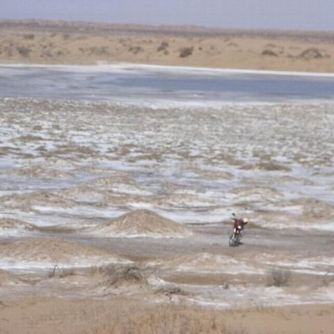 Sabbia più cellulosa: così la Cina batte la desertificazione