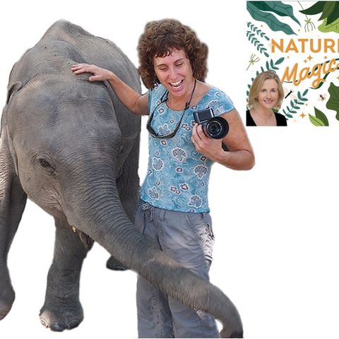 Episode 32 Janie Chodosh meets the Elephant Doctor of India