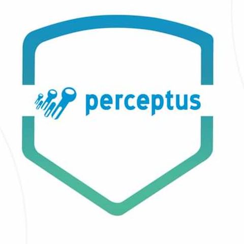 Cyberprzezorny – firma „Perceptus"