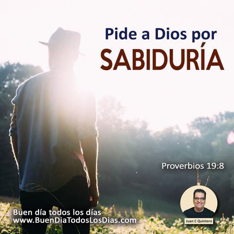 Busca la sabiduría