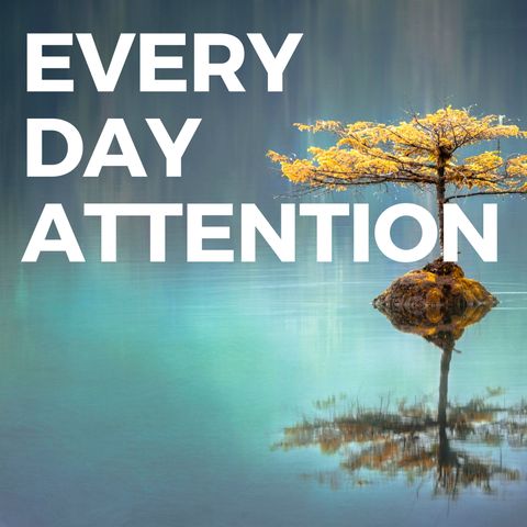 Ep 181 - Meditation and the Science of Attention