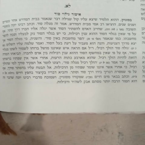 Sanhedrin 31a- Issur of Revealing Secret