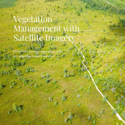 Satellite Imagery App Vegetation Management