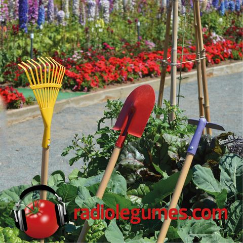 Les bons outils et les bons équipements font les bons jardiniers