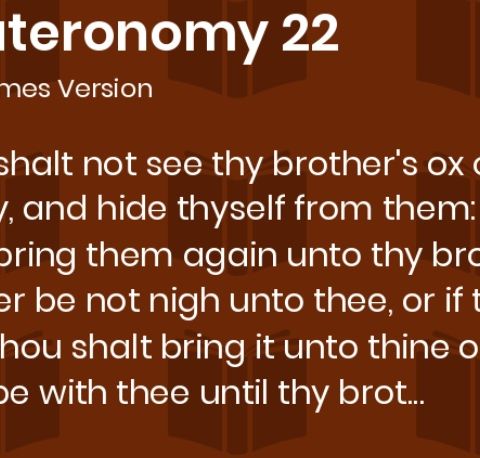 Deuteronomy chapter 22